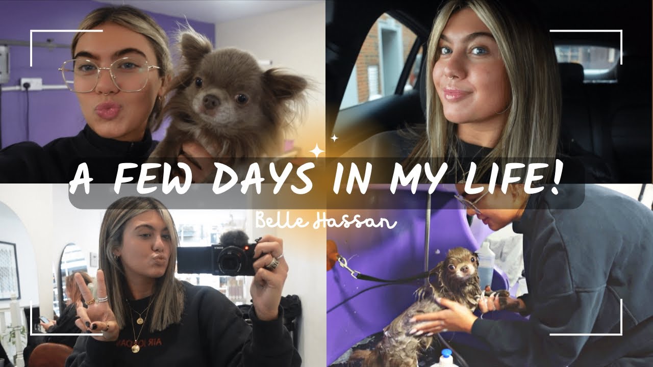 A few days in the life of belle 😂