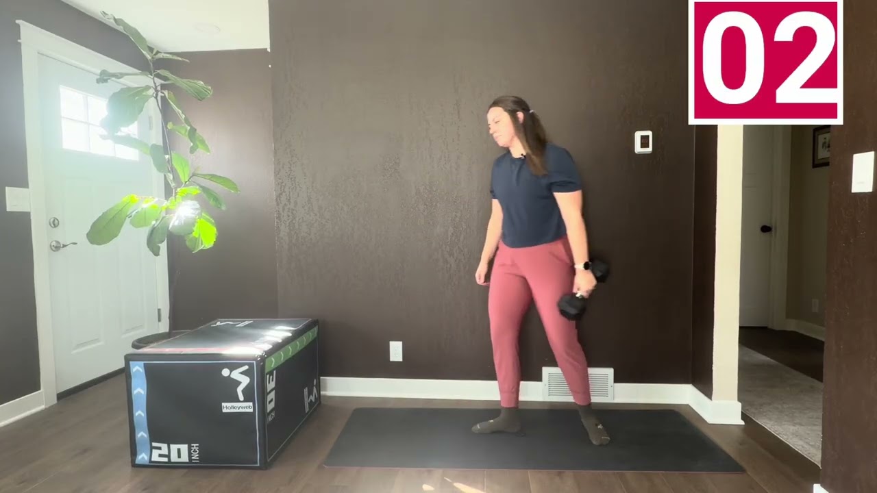 Day 6