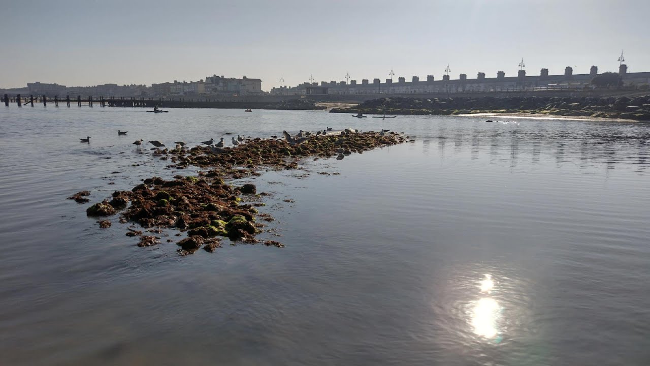 Extremely Low Spring Tide at Childrens Corner Lowestoft Beach August 2022