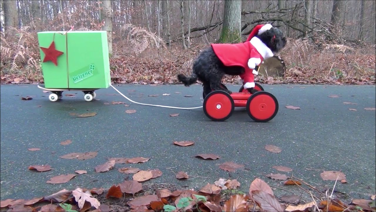 Corona Weihnachten 2020