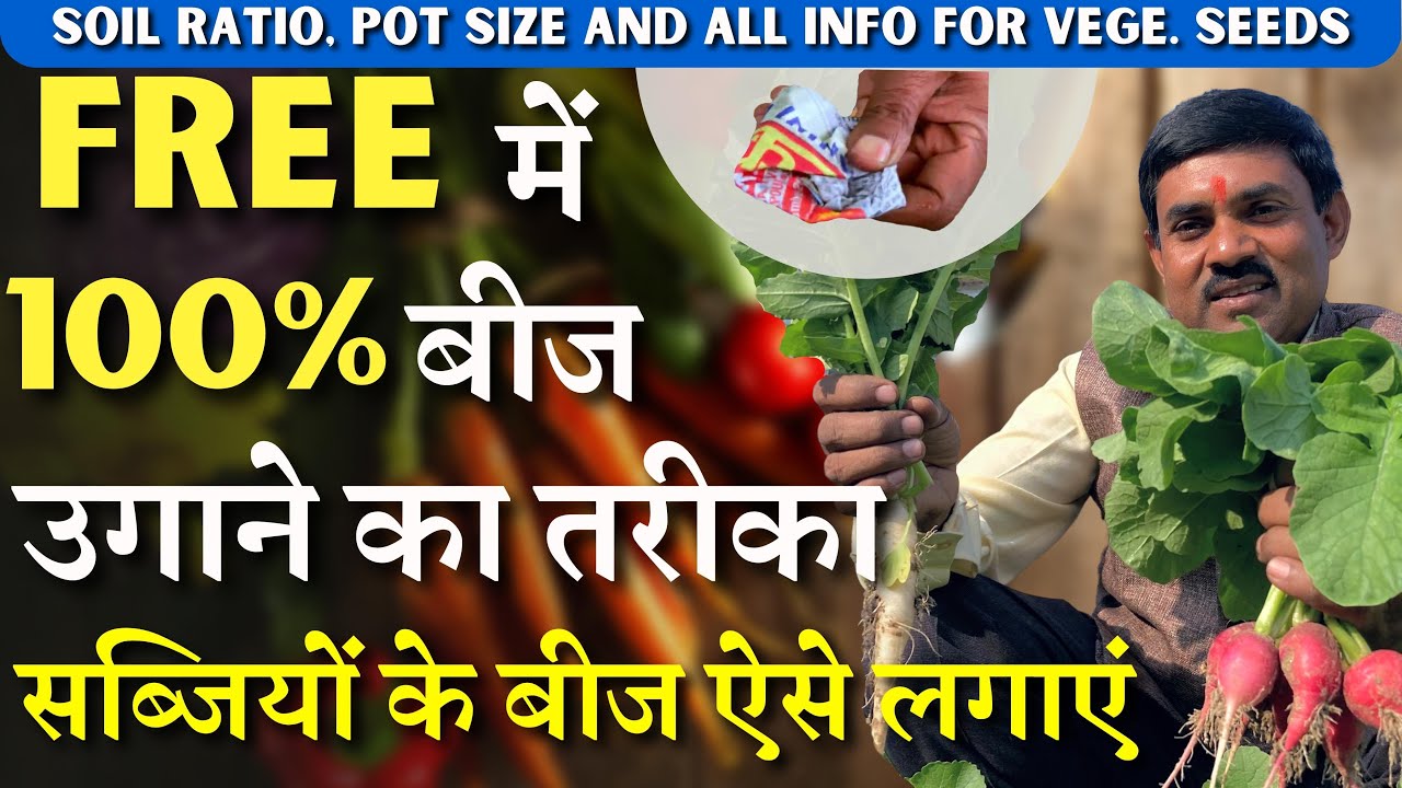 FREE में 100% बीज उगाने का तरीका || सब्जियों के बीज ऐसे लगाएं पौधे पर फल ही फल लगेंगे || Seeds Grow