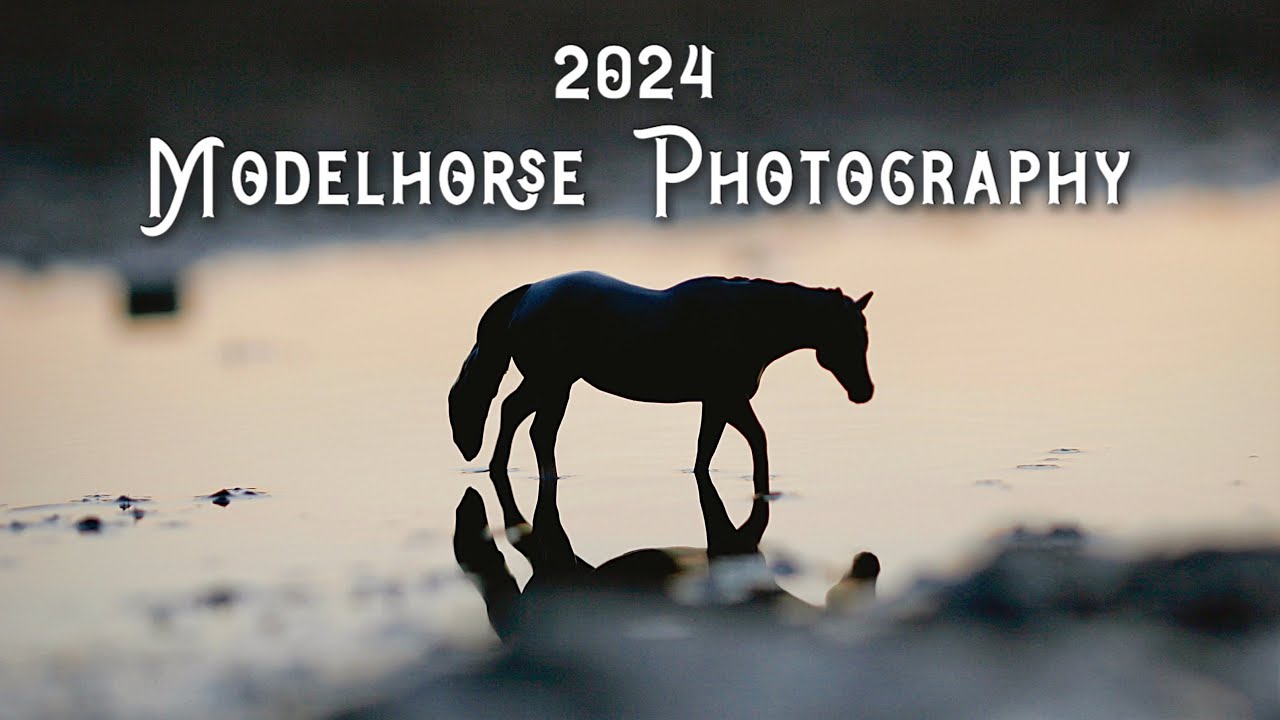2024 Modelhorse Photography Recap | PRS Studios