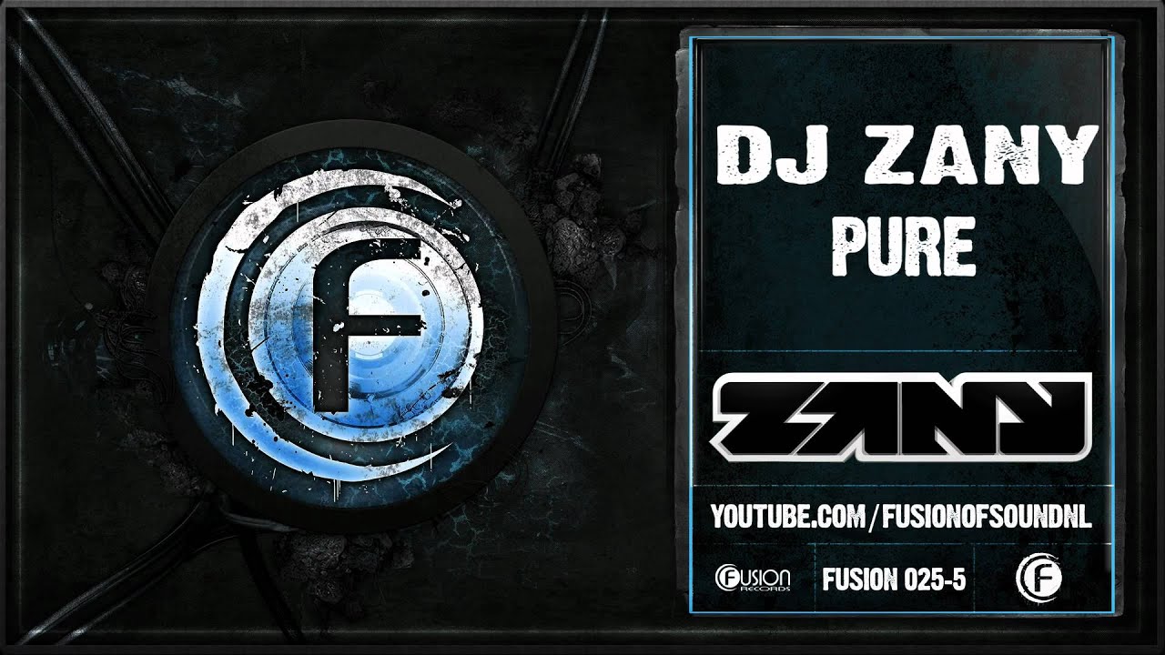 DJ Zany - Pure