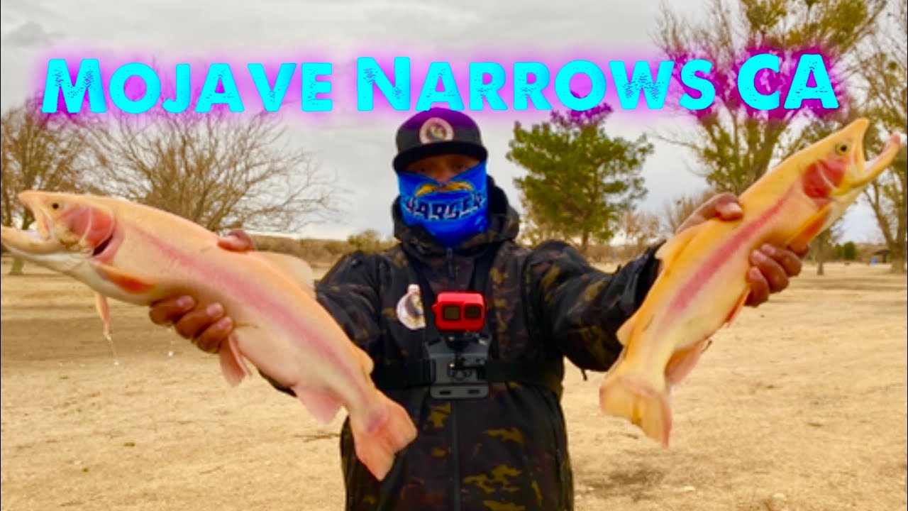 Mojave Narrows CA Fishing | Drop shot for Trout | Golden State Fishing | Pro Staff