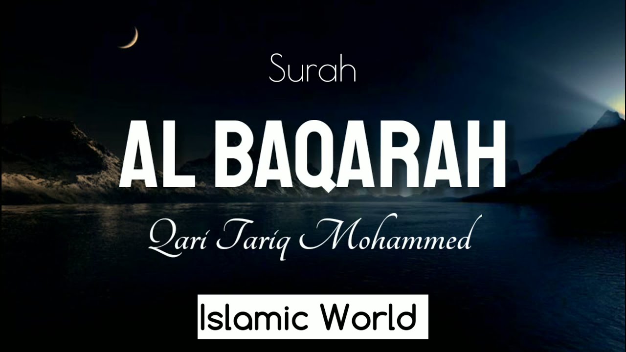 Surah Al Baqarah (Full) | Qari Tariq Mohammad | Outstanding Quran Recitation | Islamic World