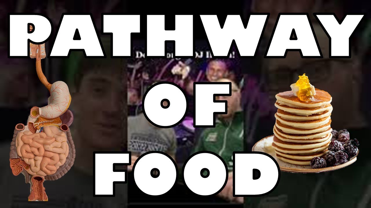 Pathway of Food (What is Love - Nightclub Remix)