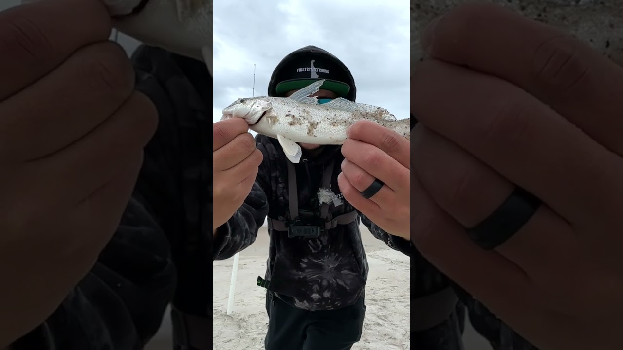 Eating What I Catch from the BEACH 🎣