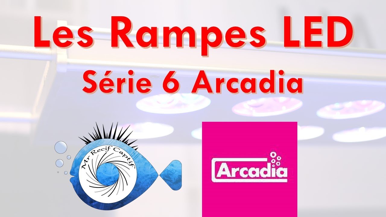 Les rampes arcadia serie 6 - Mr Recif Captif #114