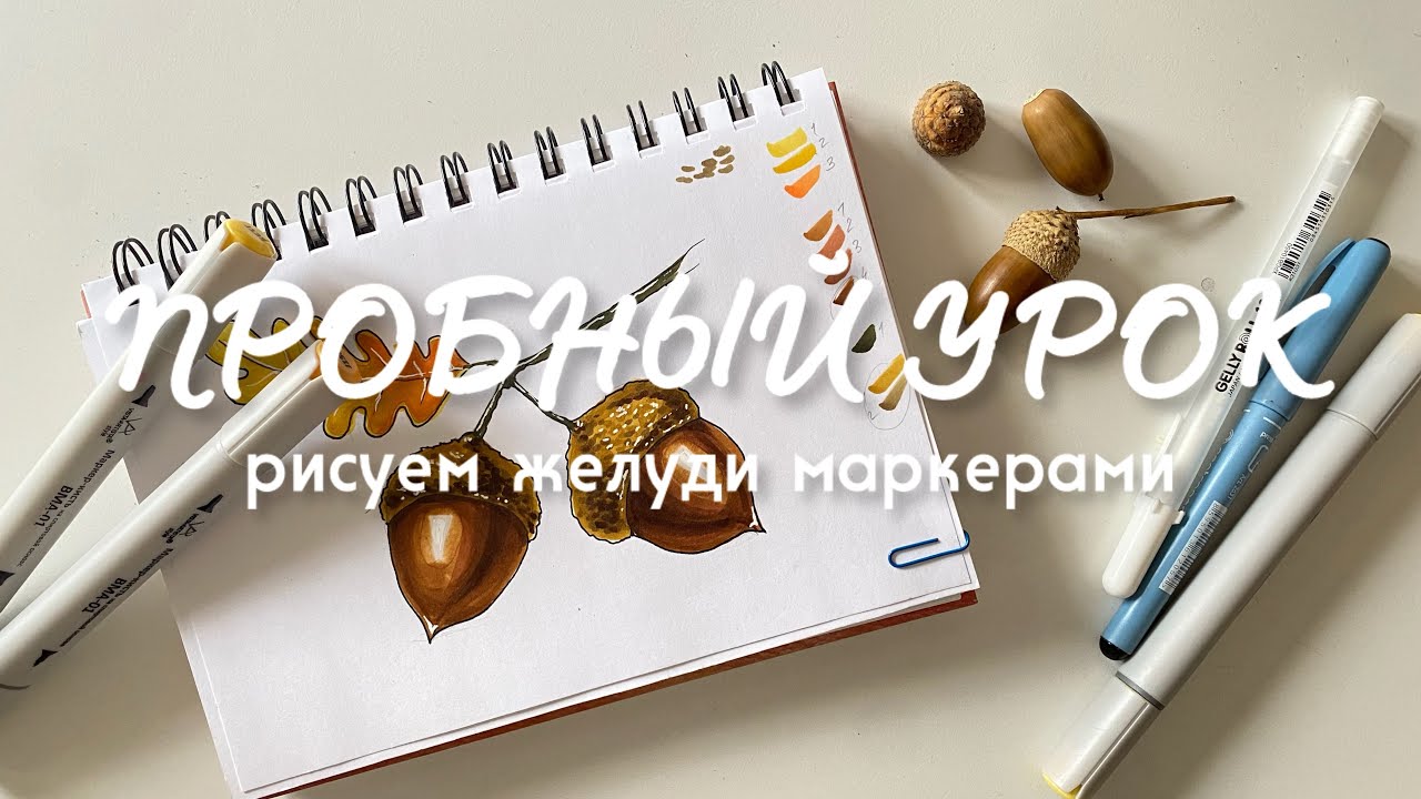 РИСУЕМ ВМЕСТЕ: желуди маркерами