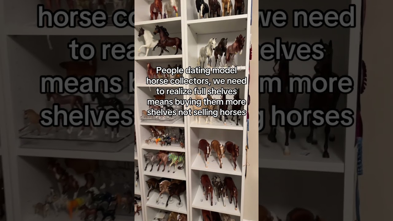 Buy them more shelves! 😵‍💫 