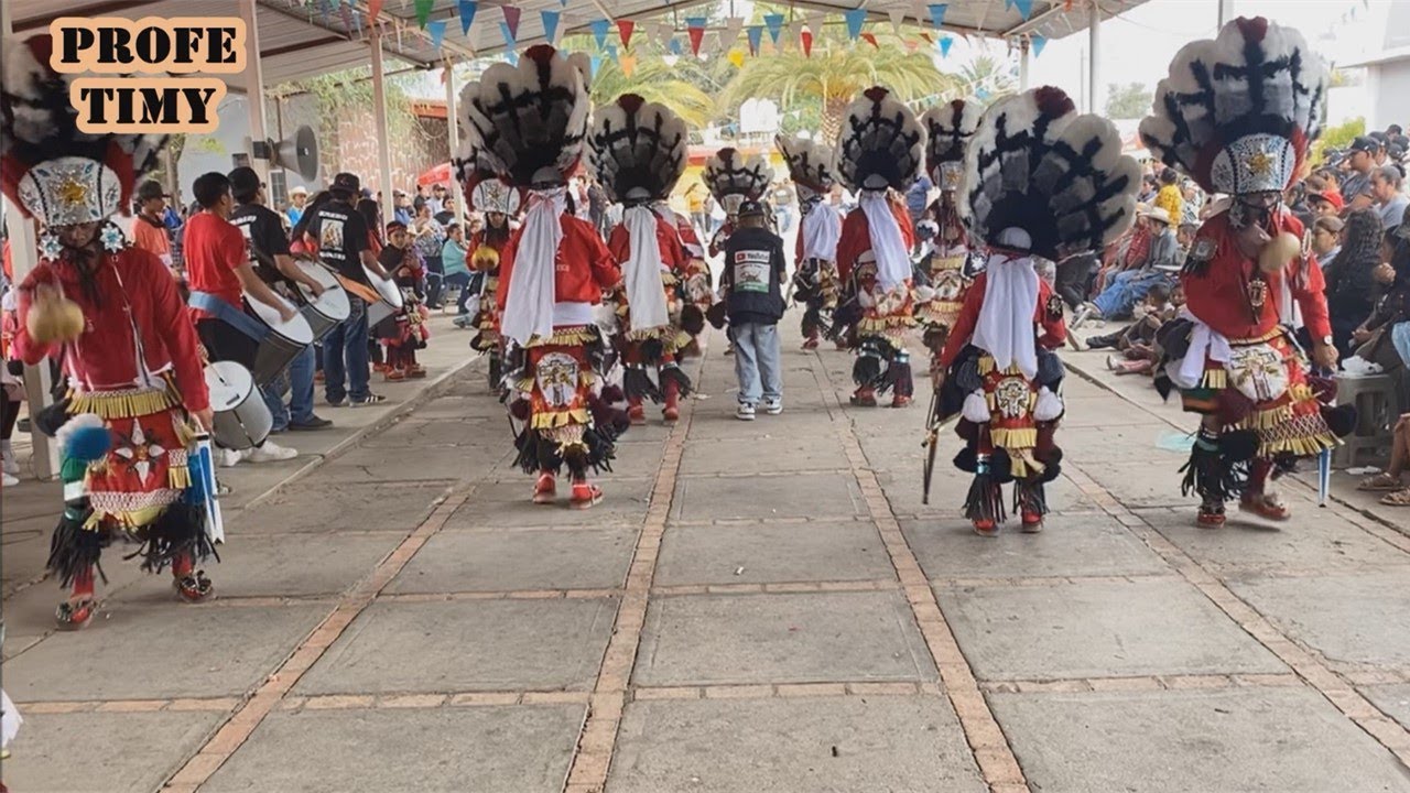 Matlachines “Señor de Los Rayos” (Estrella Brillante) de Fresnillo, Zac. 