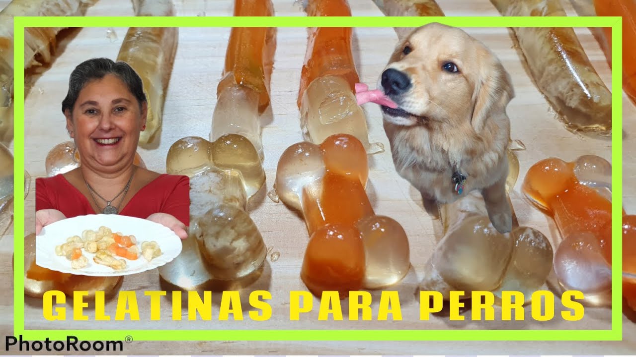 🍧🐶GELATINA PARA PERROS Es un suplemento para nuestros perros que sufren de sus Articulaciones