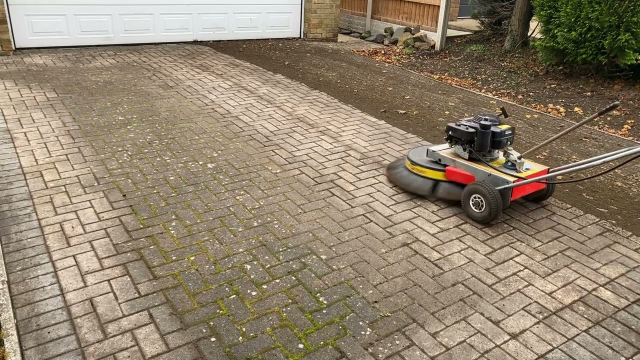 Westermann Moss removal