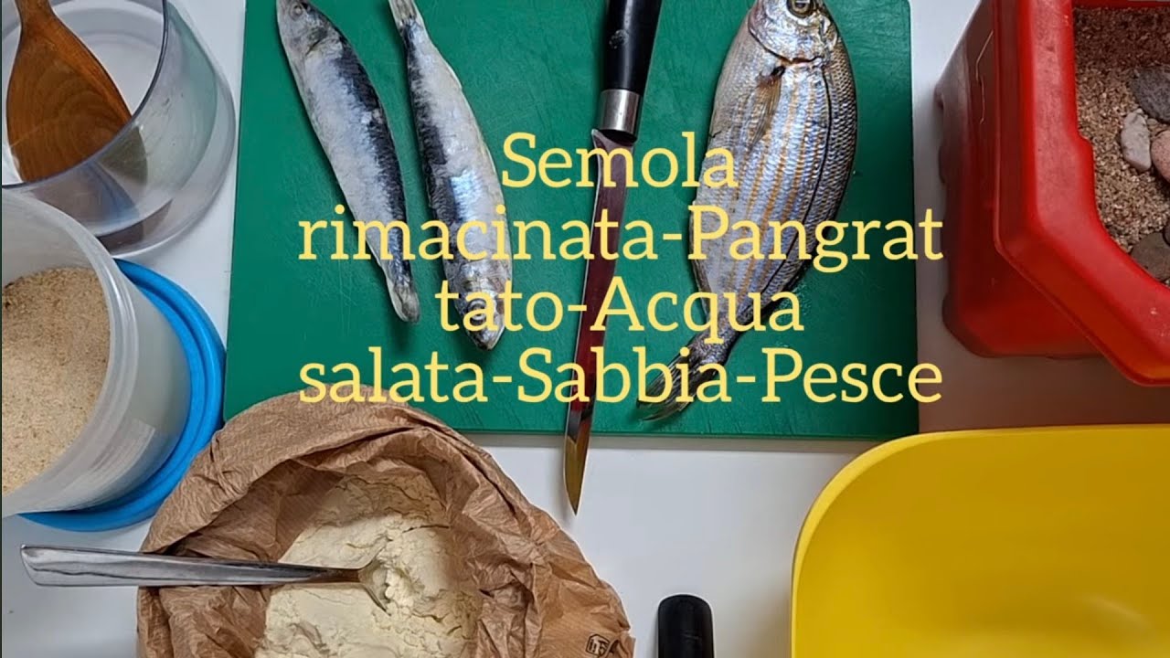 COME FARE L'IMPASTINO 🧐 pesca bolognese forte