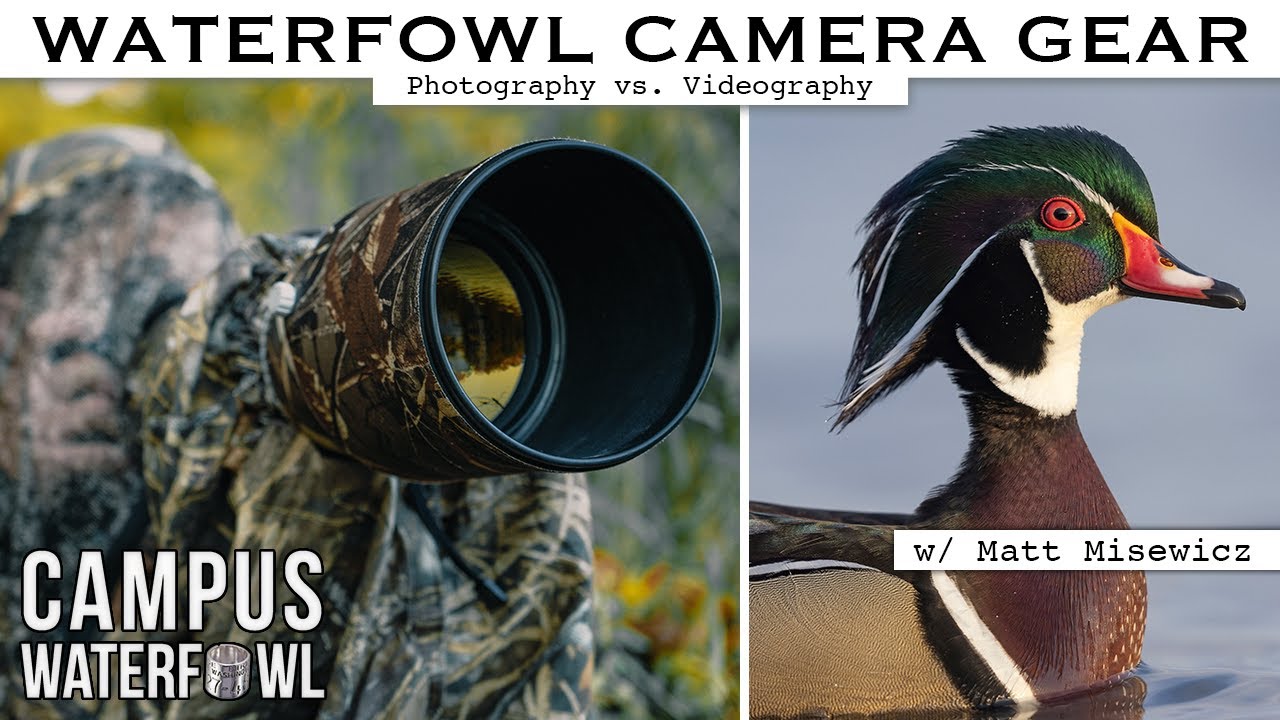 Waterfowl Camera Gear | Photography and Videography Equipment
