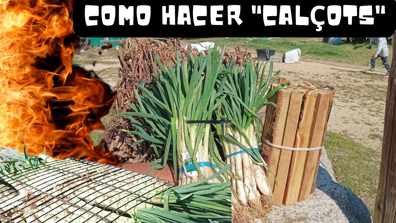 CALÇOTS. !Te mostramos cómo hacer una buena CALÇOTADA! 🔥