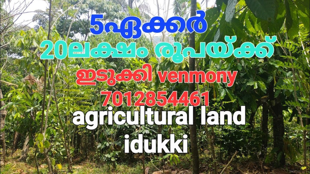 5ഏക്കർ. മൊത്ത വില 20ലക്ഷം.കുരുമുളക് കൊക്കോ..ടാർ റോഡിൽ നിന്ന് 100mtr. വഴി ഉണ്ട് 👇details check descri