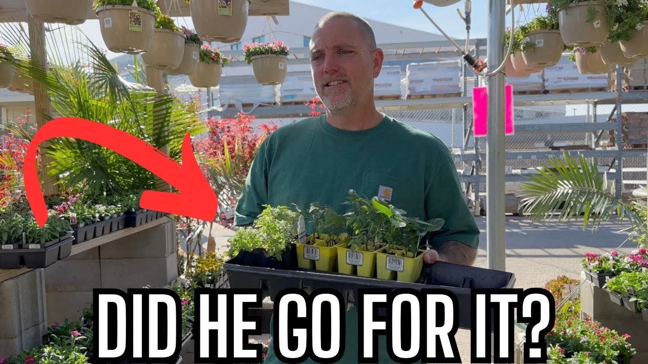 Early Garden Prep! Searching for Tomato & Pepper Plants + Raised Bed Inspiration