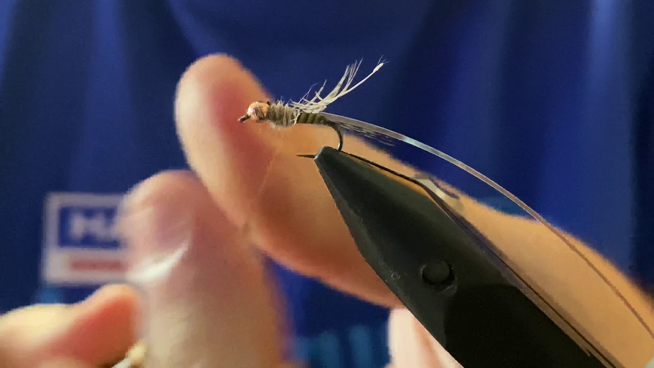 Montaje ninfa SPQ
