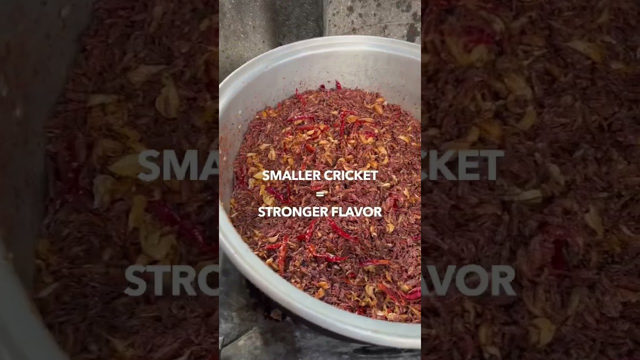 Crickets in Oaxaca are delicious #crickets #chapulines #childishgambino #oaxaca #streetfood