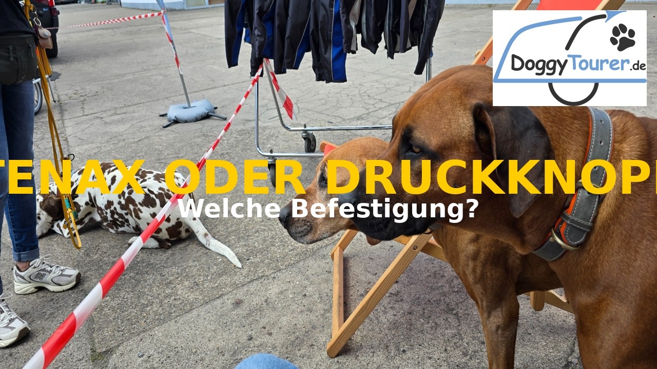 Tenax Knöpfe am DoggyTourer