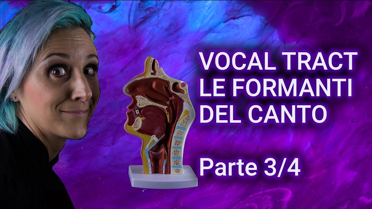 VOCAL TRACT (parte 3/4) - LE FORMANTI NEL CANTO - COS'È LA FORMANTE DEL CANTANTE?
