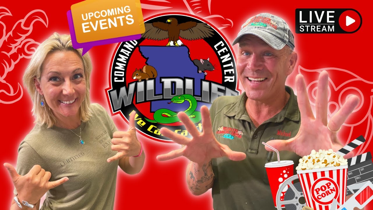 EVERYTHING Wildlife Command Center MOVIE ANIMALS & EVENTS