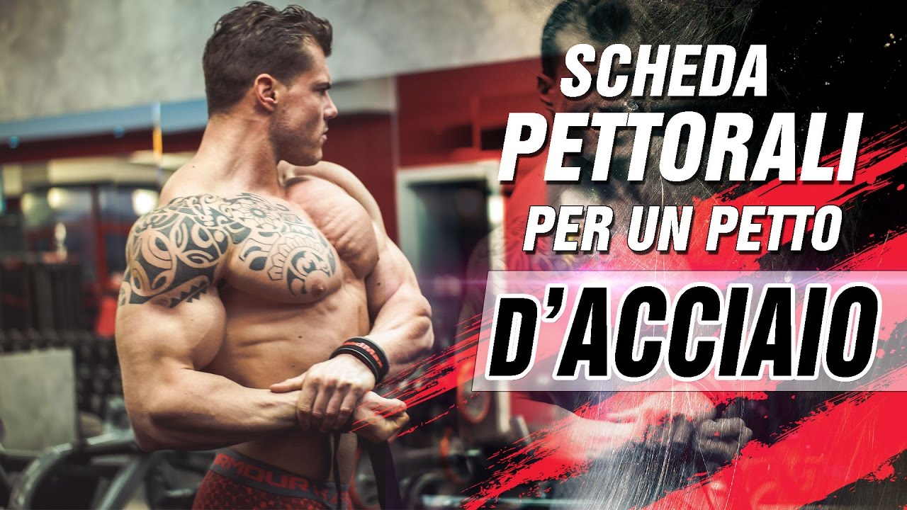 ALLENARE I PETTORALI - Scheda esercizi per il PETTO ▪ Team Commando