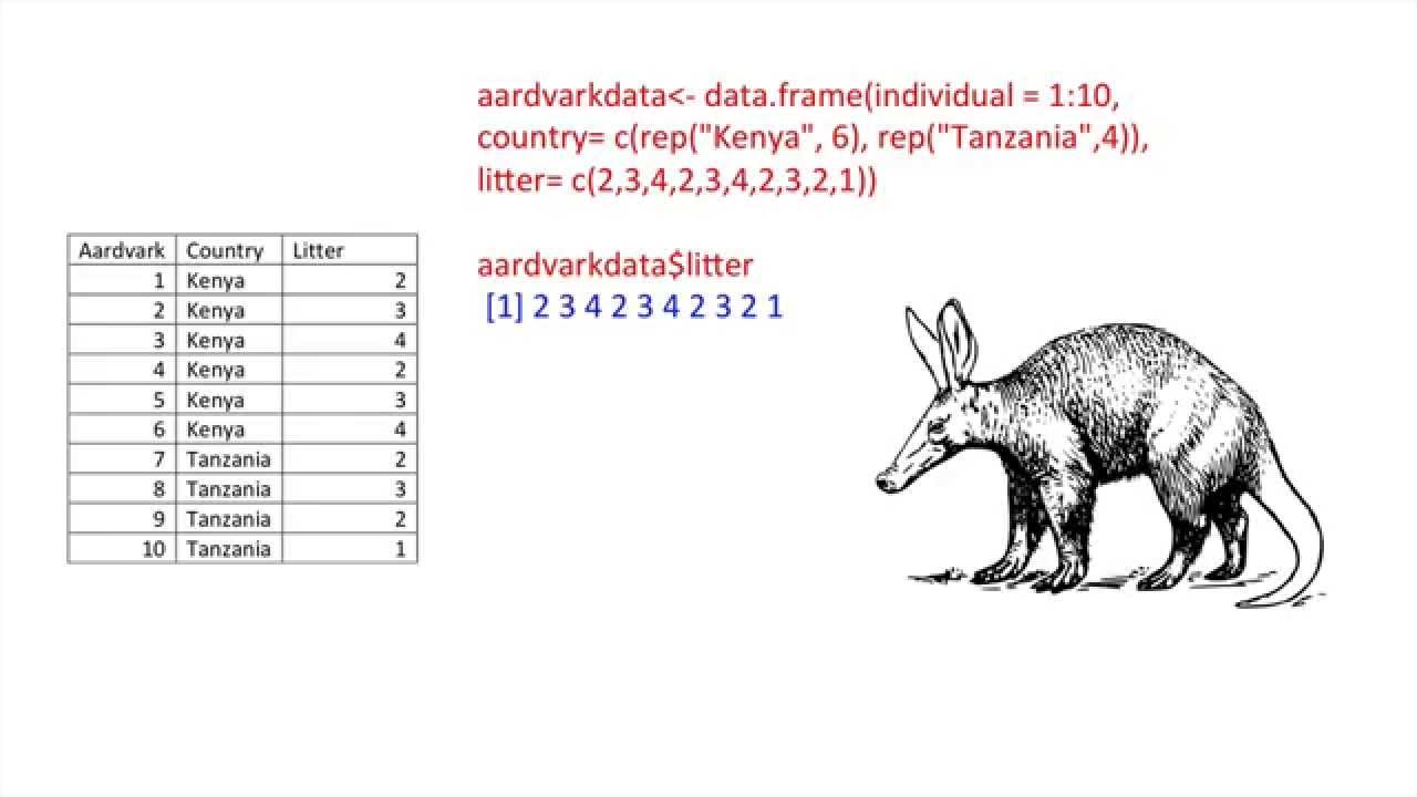 Data Frames and Lists in R: The Basics