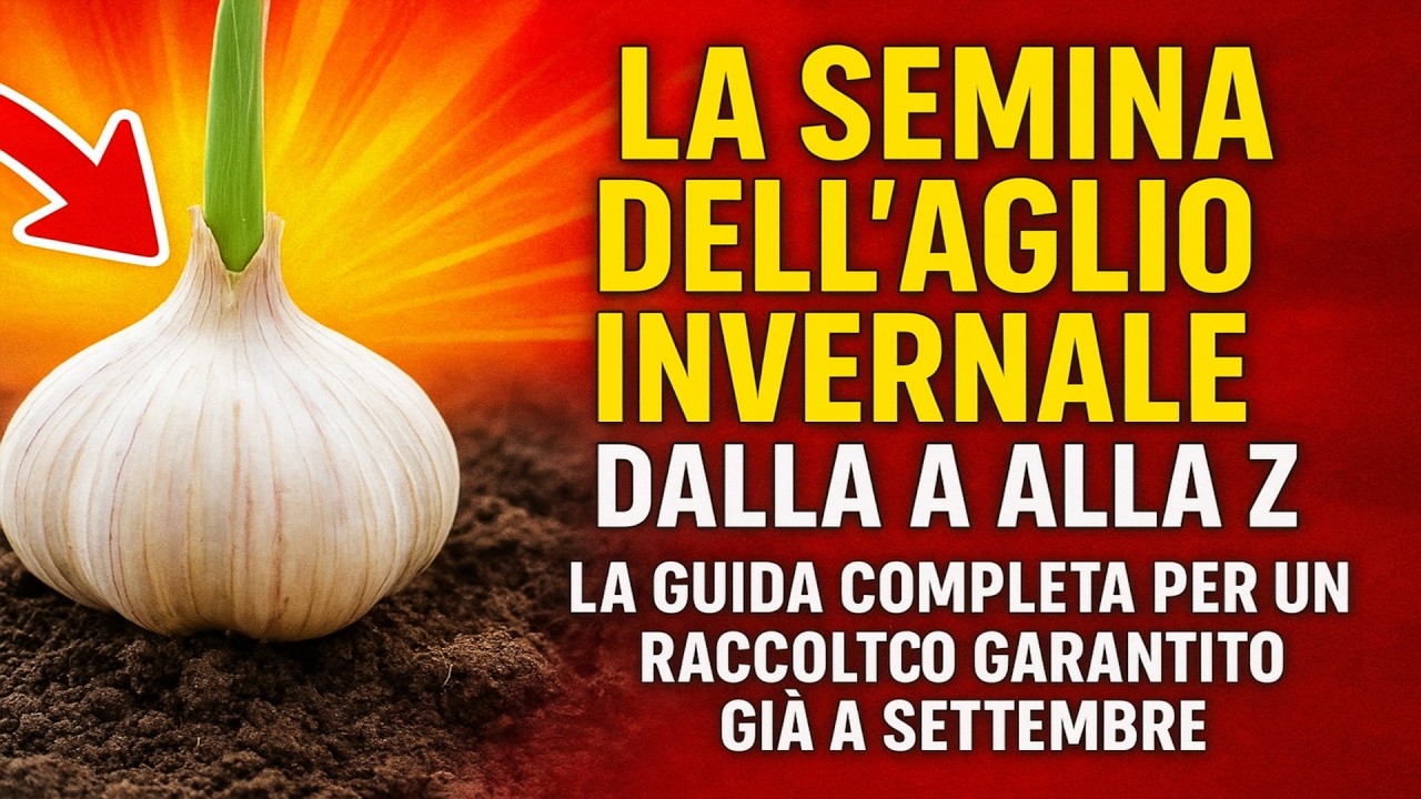 La Semina dellAglio Invernale: Dalla A alla Z. La Guida Completa per un Raccolto Garantito già a Se