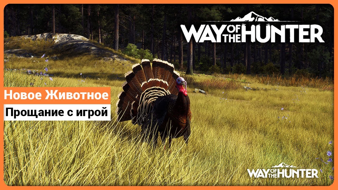 Новое Животное - Индейка - Будущее игры и её конец - Way of the Hunter