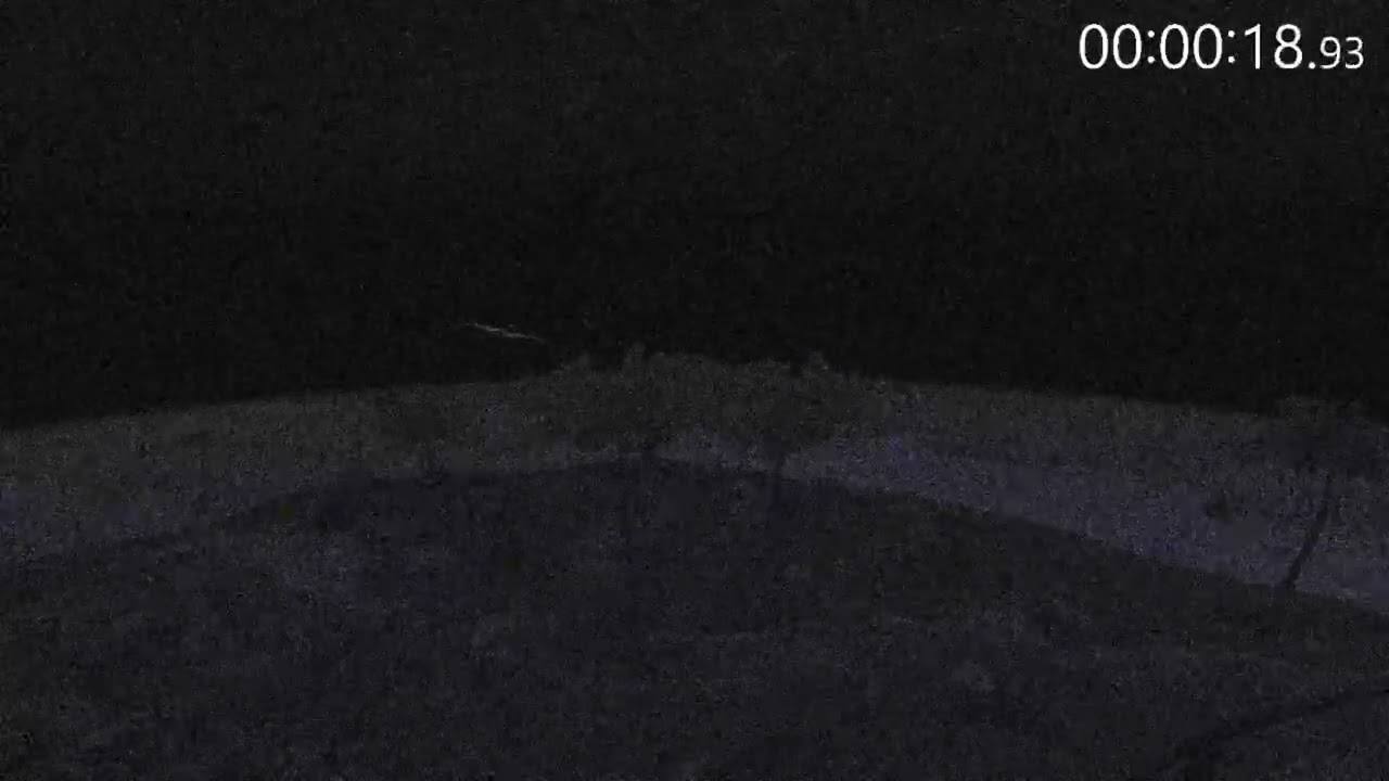 Strange creature found on motion activated camera