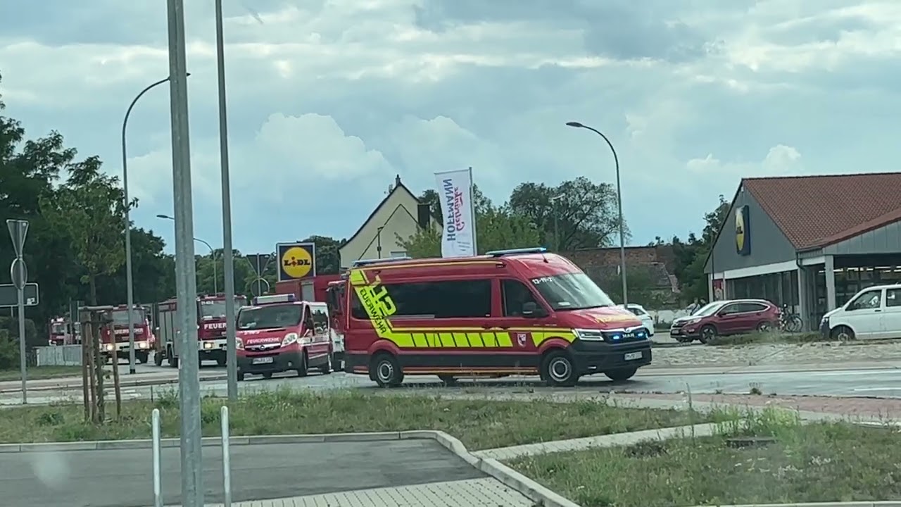 Feuerwehr Waldbrand Elbe Elster