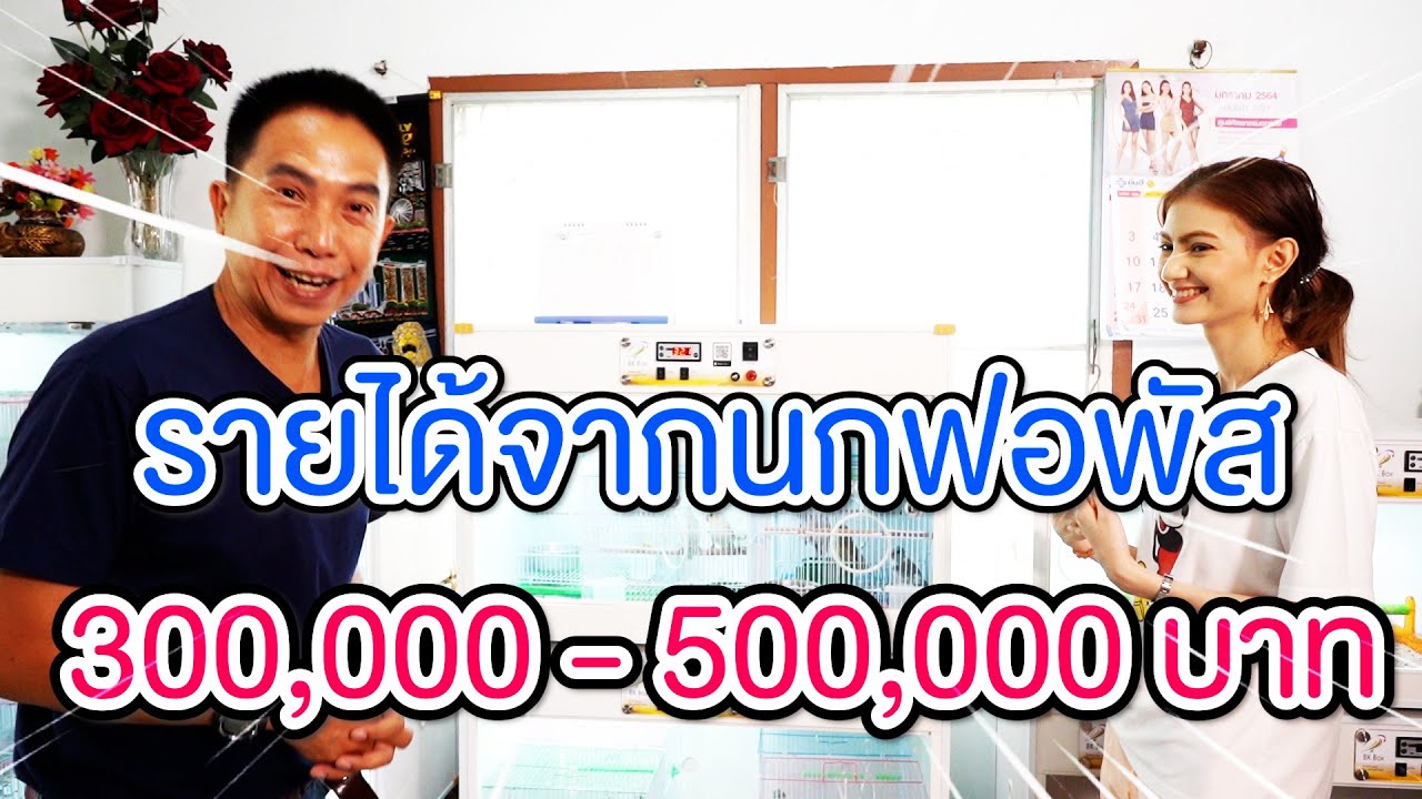 เลี้ยงนกฟอพัส รายได้ 300,000-500,000บาท  #รายได้สวนกระแส  นกฟอพัส คือนกอะไรทำไมถึงเป็นที่นิยม