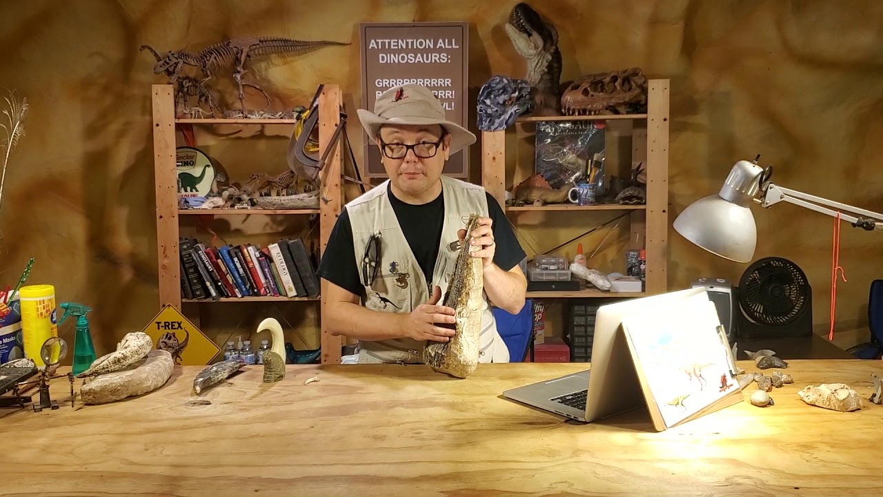 What Paleontologists do at the Lab