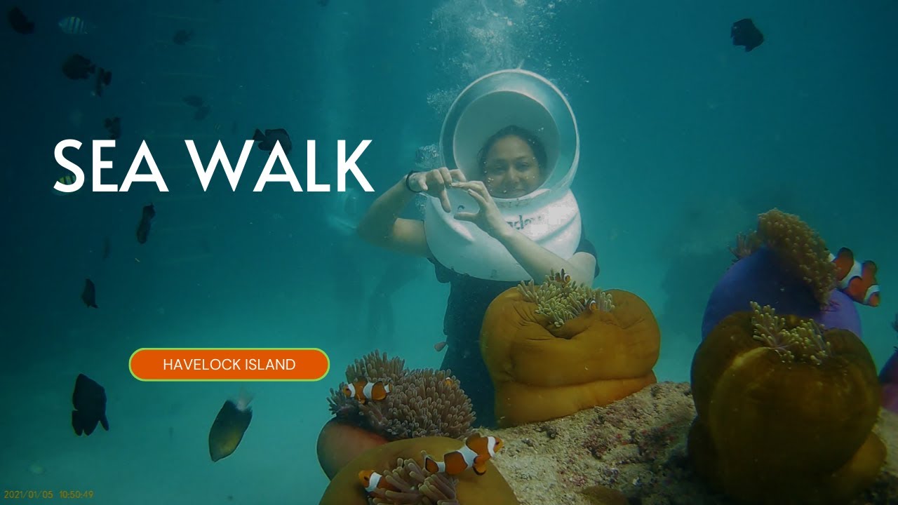 Must watch before doing Sea Walk | Havelock | Andaman | Ep-8 |
