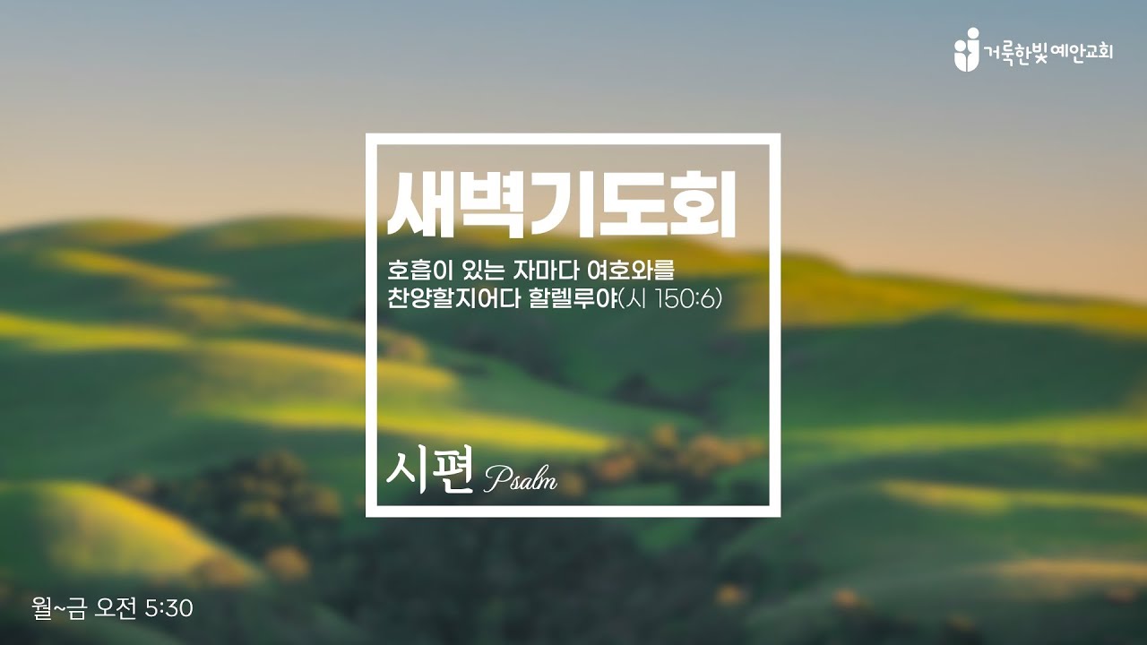 2026.2.13.(시 139) 거룩한빛예안교회 새벽기도회