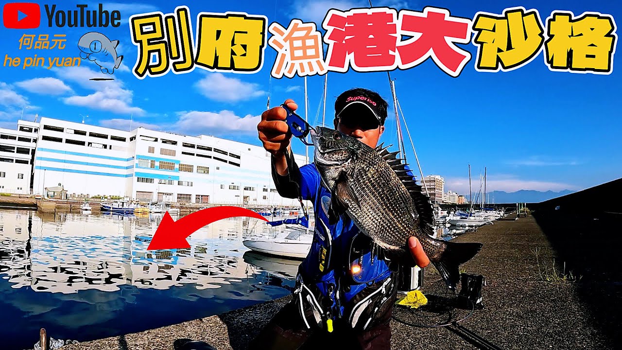 ［港磯］平靜的小港口😃底層都是粗ㄟ🐟#生牌南極蝦 #志成企業白几奴 #漁師常溫練餌 #superiso釣具潮流品牌 #魂手作浮標工坊 