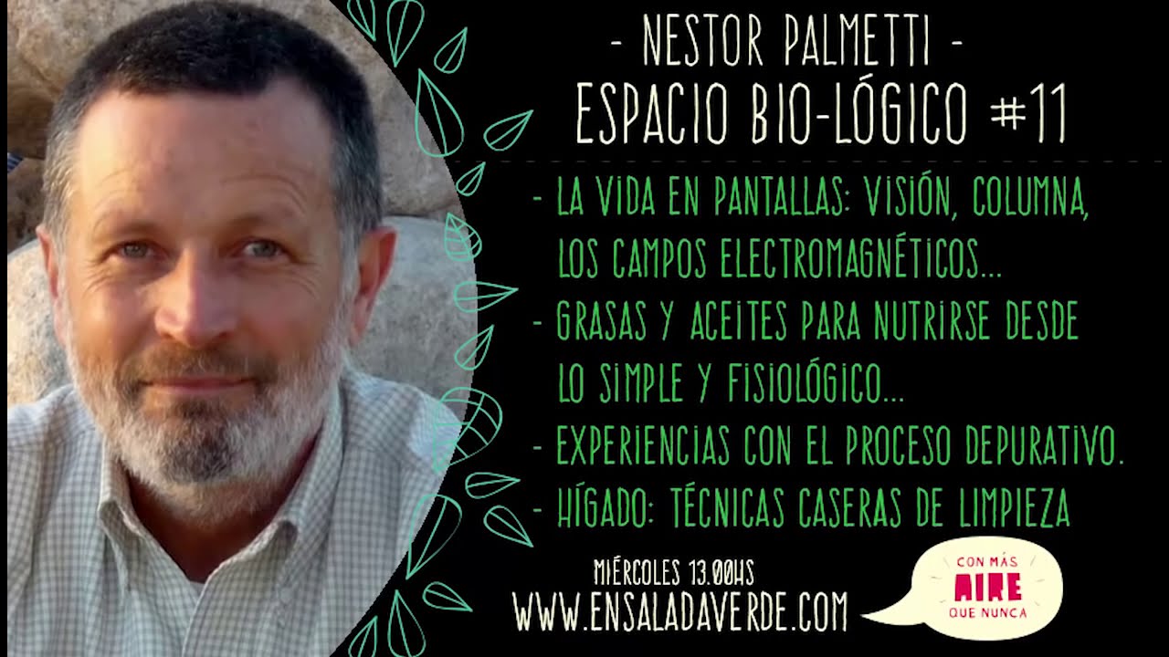 N&eacute;stor Palmetti / Espacio Bio L&oacute;gico #11 / La vida en las pantallas