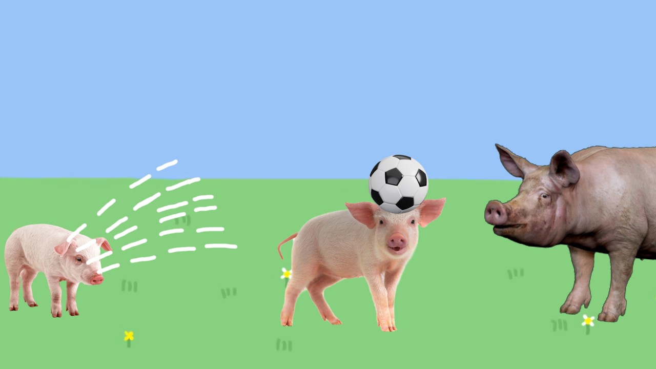 Real life Peppa Pig Parody Episode #8