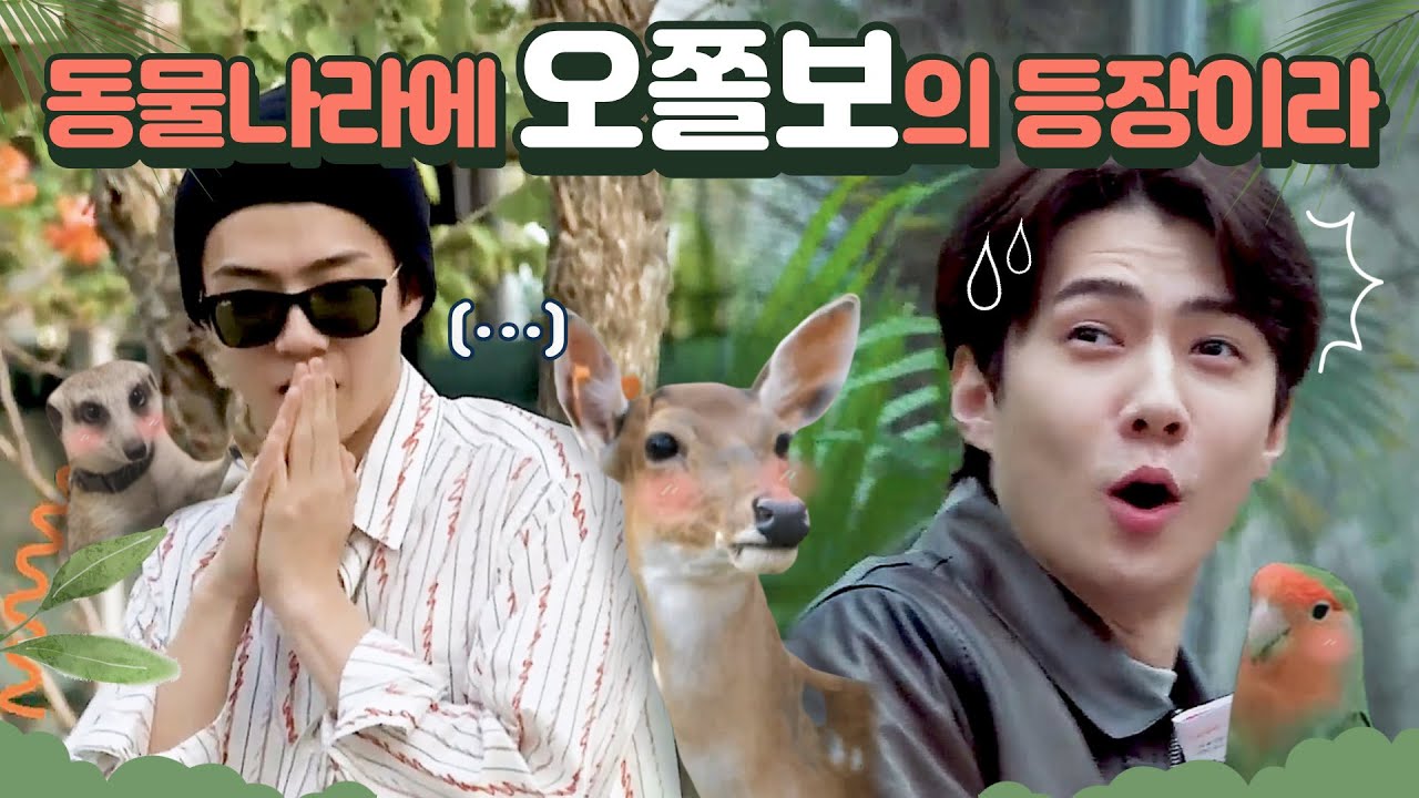 동물 무서워하는 거 아니에요 낯가리는거예요... l EXO SEHUN
