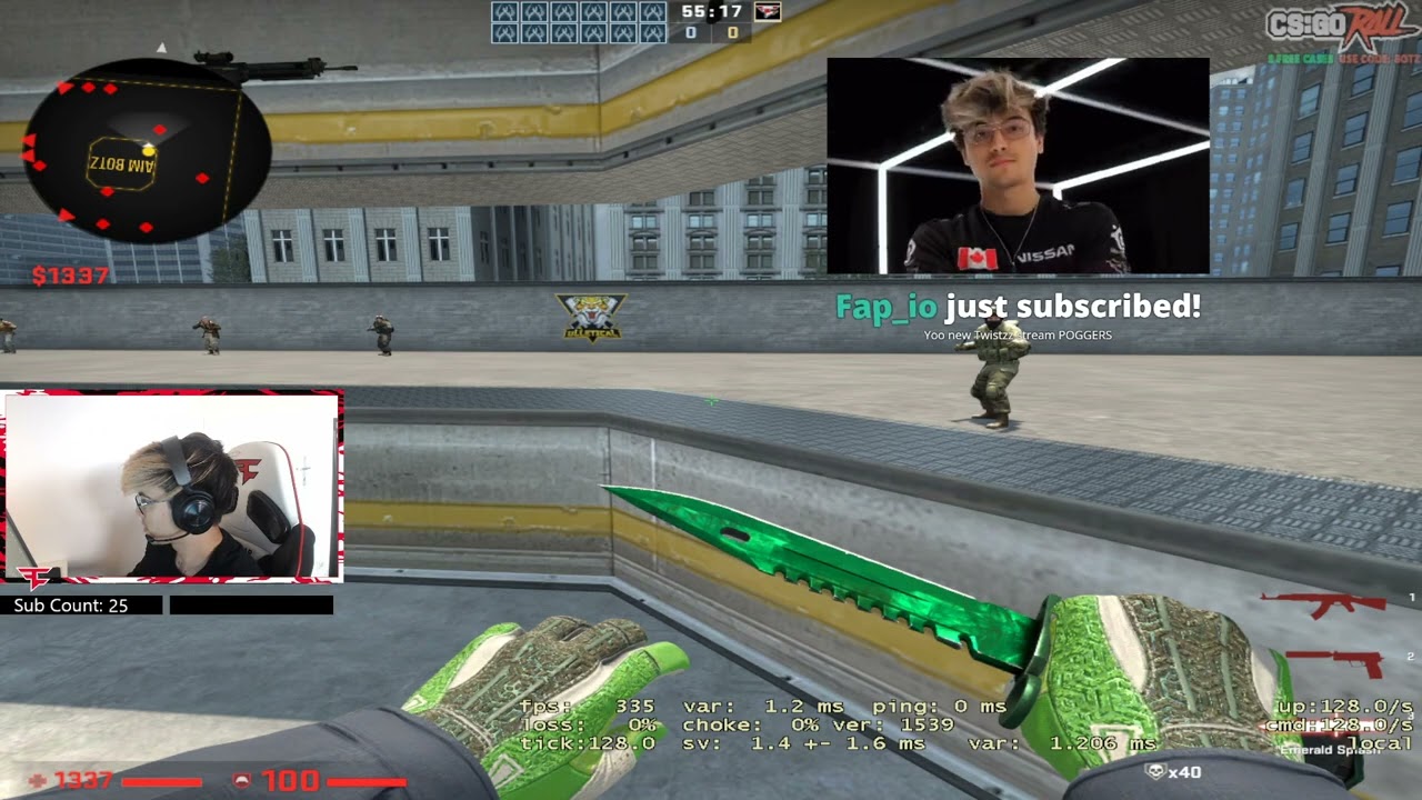 Twistzz stream 