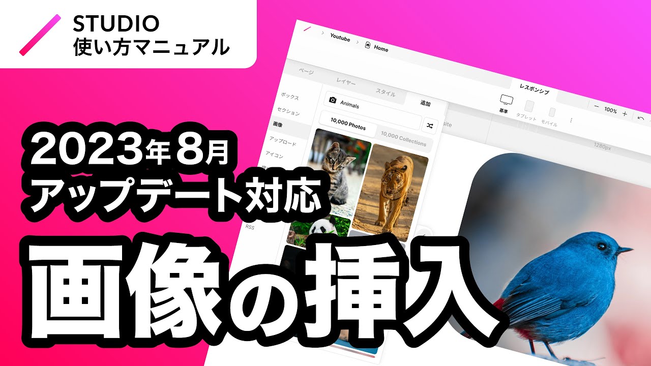 2023年8月仕様アップデート対応｜ノーコード・STUDIOでの画像挿入方法・表示方法を徹底解説！