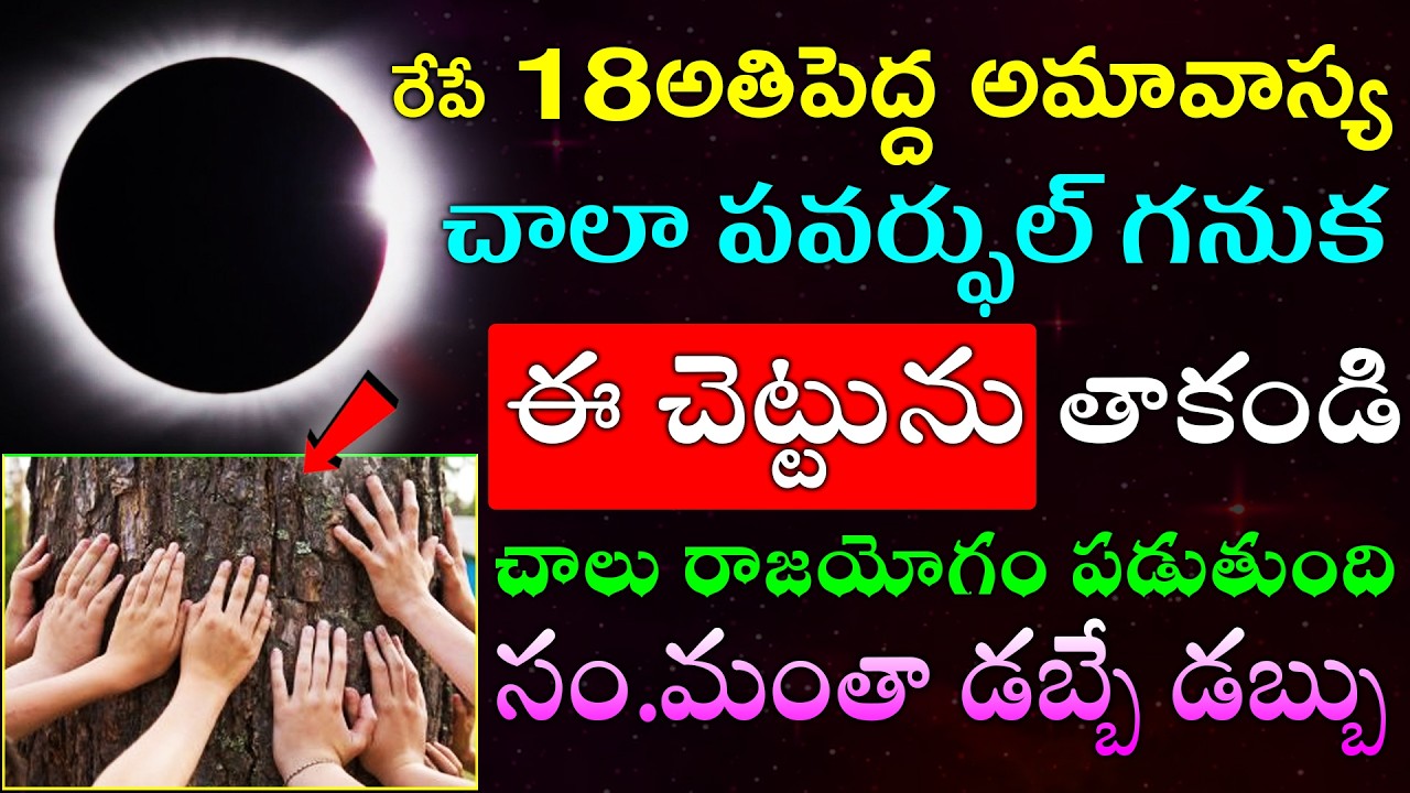 రేపే 18అతిపెద్ద అమావాస్య చాలా పవర్ఫుల్ గనుక ఈ చెట్టును తాకండి చాలు రాజయోగం పడుతుంది డబ్బే డబ్బు