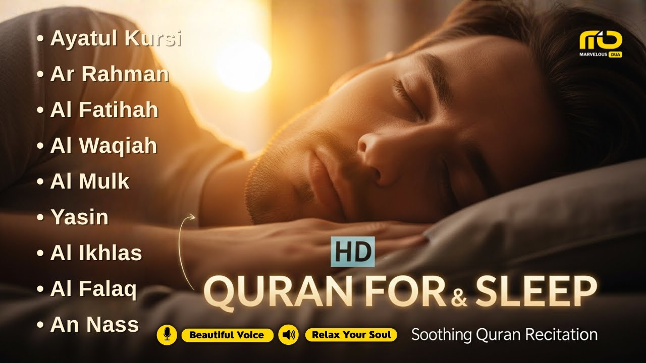 Best Every Night Quran Recitation ✦ Alfatiha, Ayat AlKursi, Yasin, Arrahman ✦ By Sheikh Alaa Aqel