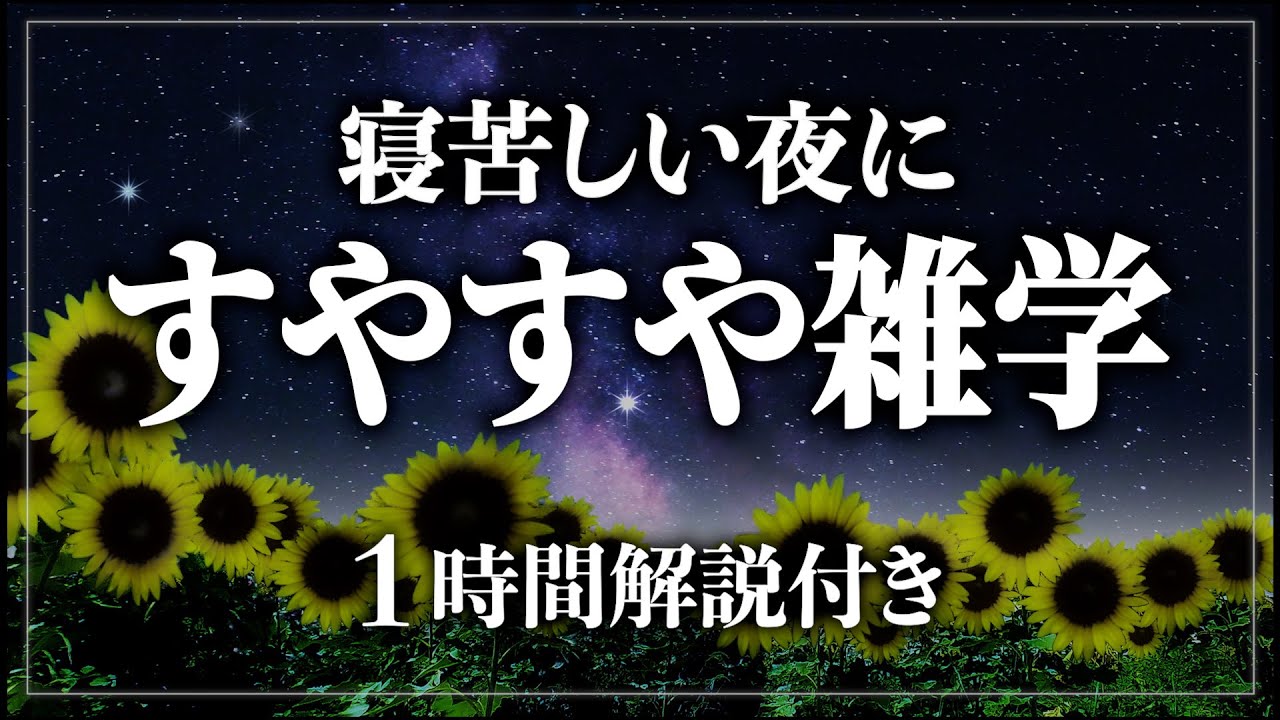 【睡眠導入】すやすや眠れる最高の雑学！たっぷり60分 寝ながら賢くなる日常生活100の雑学1時間【BGMなし】【男性朗読】