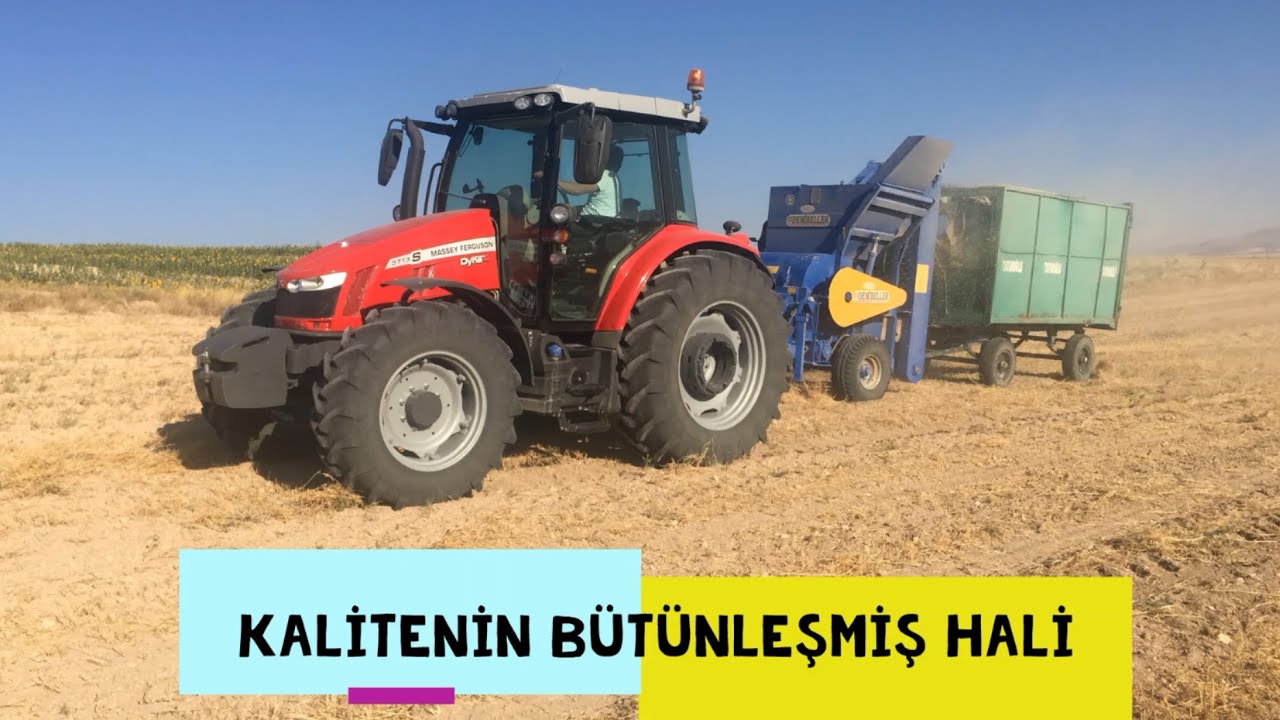 MasseyFerguson 5713s ve Başak 2110s | Toplar Döver Patoz ile Mercimek Hasadı |