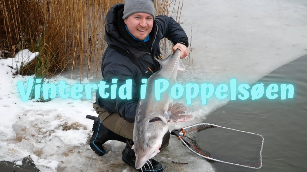 Vintertid i Poppels&oslash;en