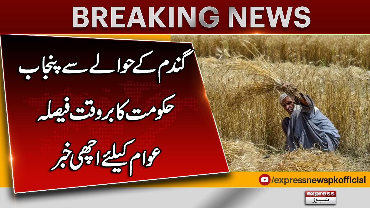 Timely Step by Punjab Government Prevents Wheat Cultivation Decline