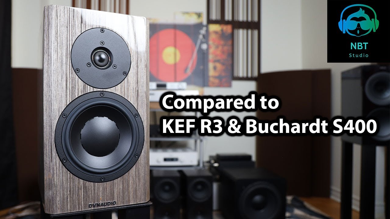 Dynaudio Special 40 Speaker Review ! Is it all that special?